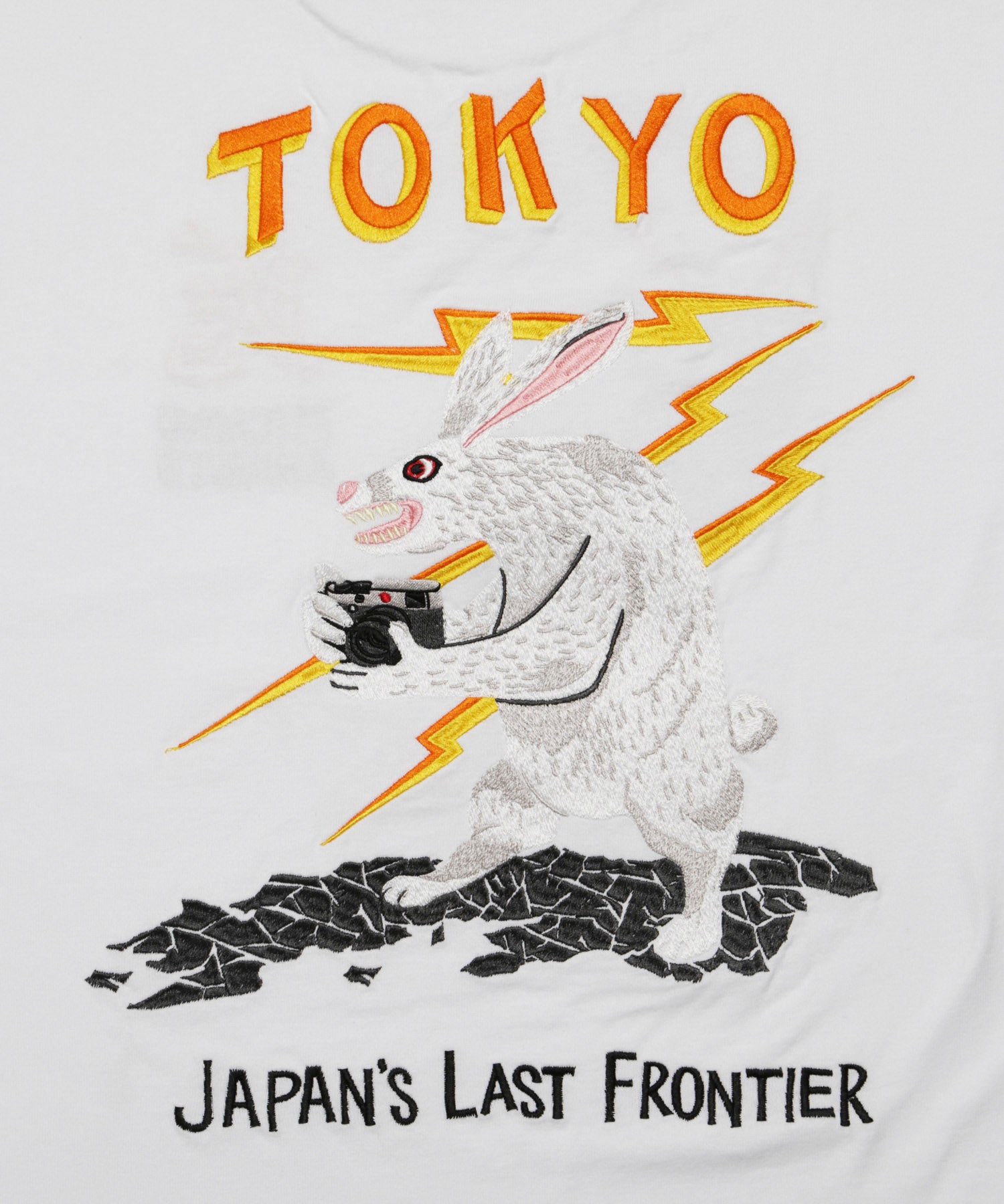 TOKYO Embroidery Souvenir T-shirt – #FR2