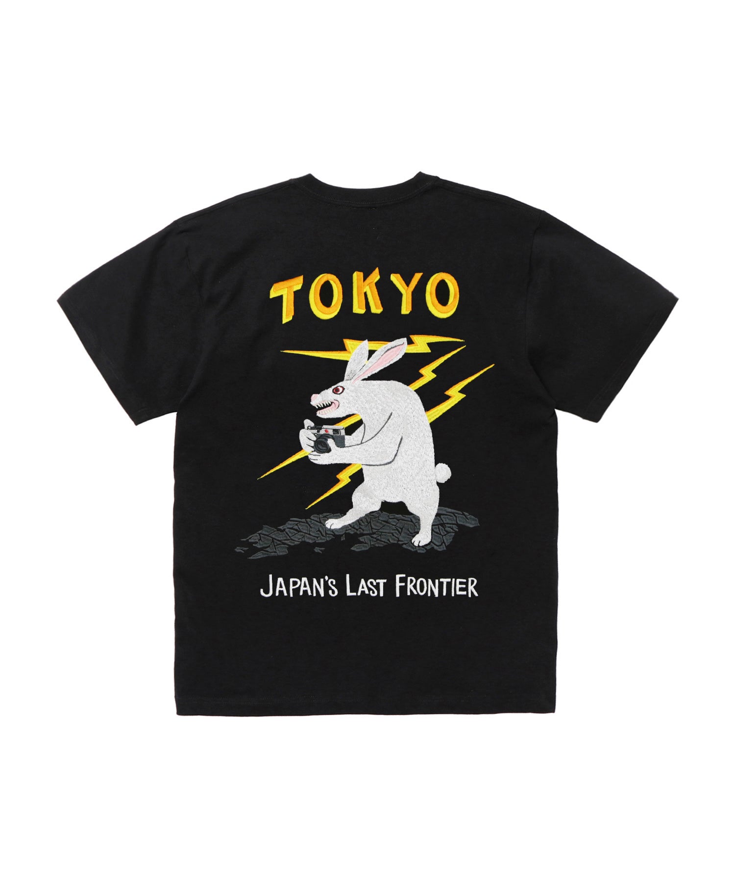 TOKYO Embroidery Souvenir T-shirt