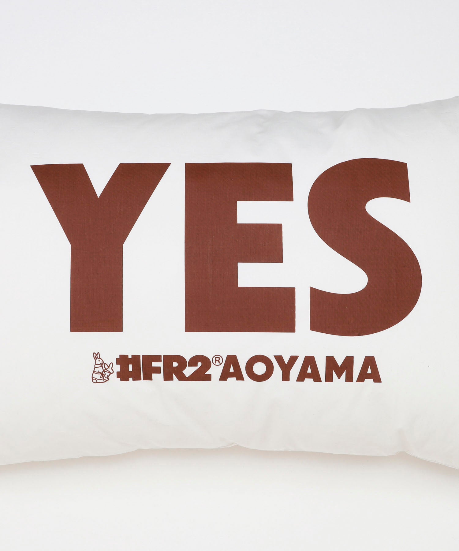 THE AOYAMA GRAND HOTEL collaboration with #FR2 Pillow